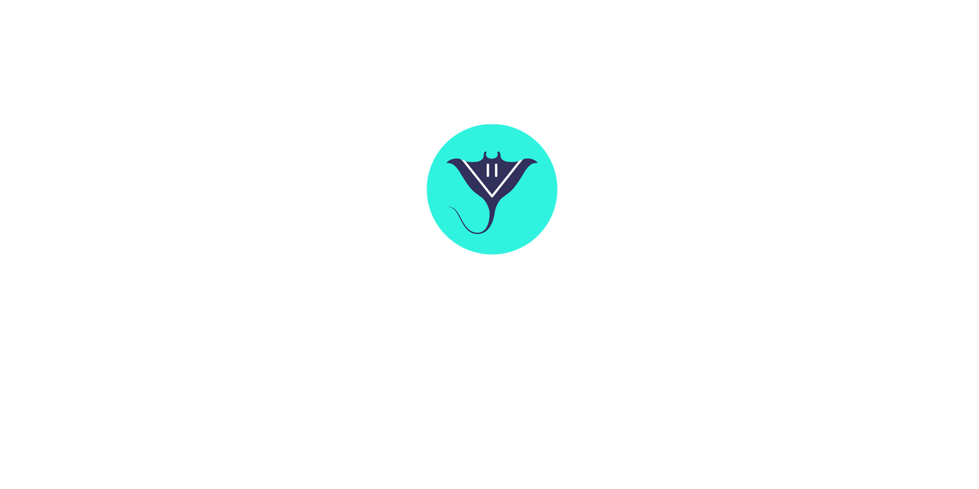 Vertex11 brand logo