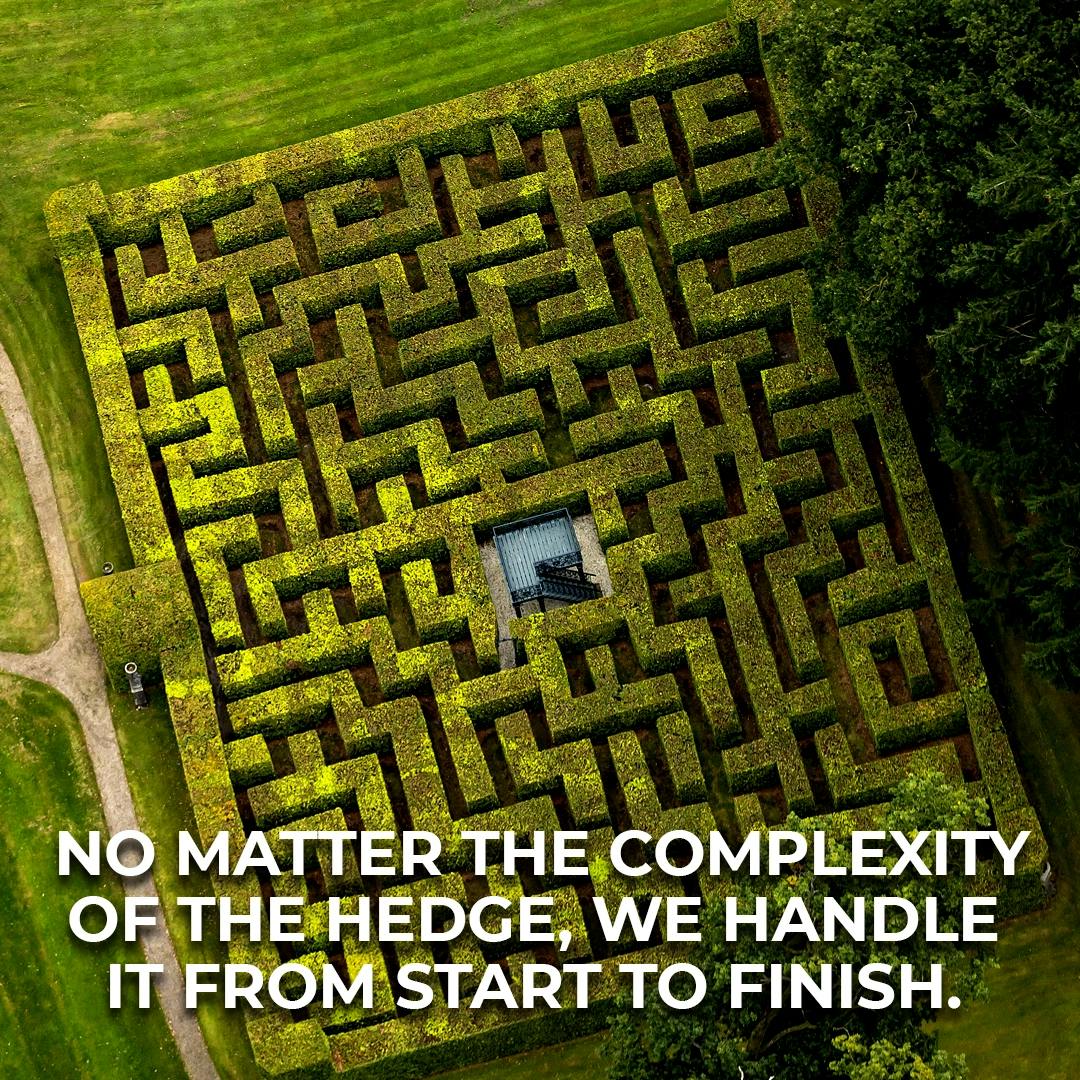 Bascom social complex hedge