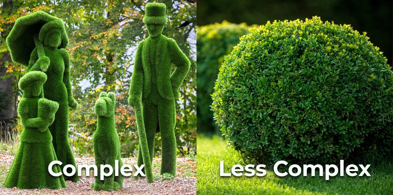 Bascom social hedges