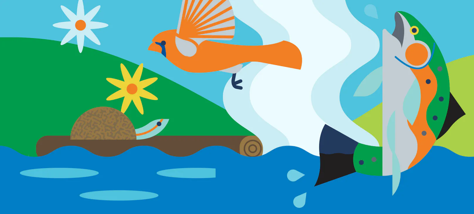 Domtar's Next Is Now B2B brand campaign celebrating 175 years of innovation, featuring colorful illustrations of birds, nature, and flowing water that connect the company's heritage with its future.