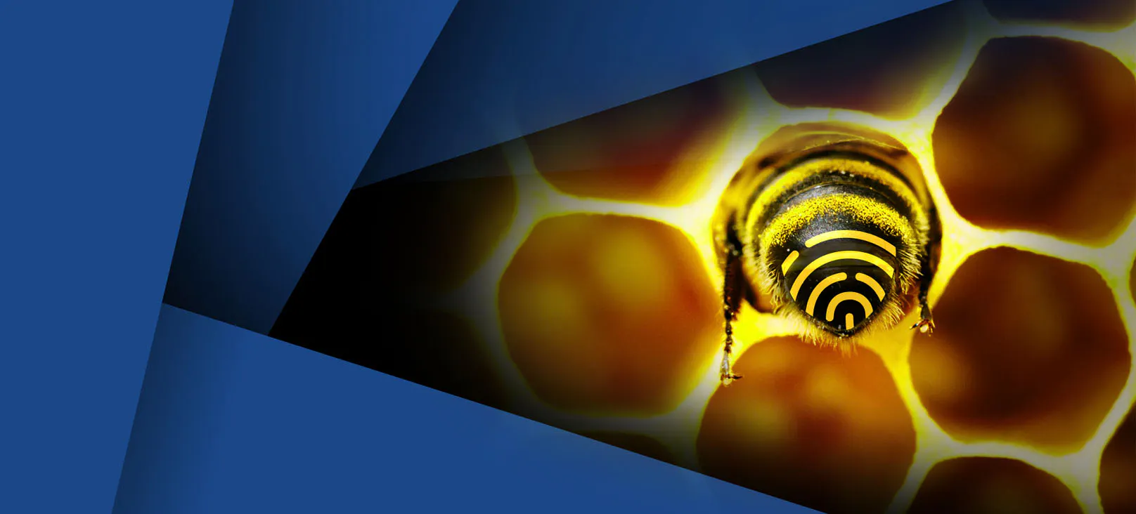 CyberEdge Group and Security Buzz website design featuring a bee within golden honeycomb and a stylized digital fingerprint, connecting the two related cybersecurity marketing brands through distinctive visual storytelling.