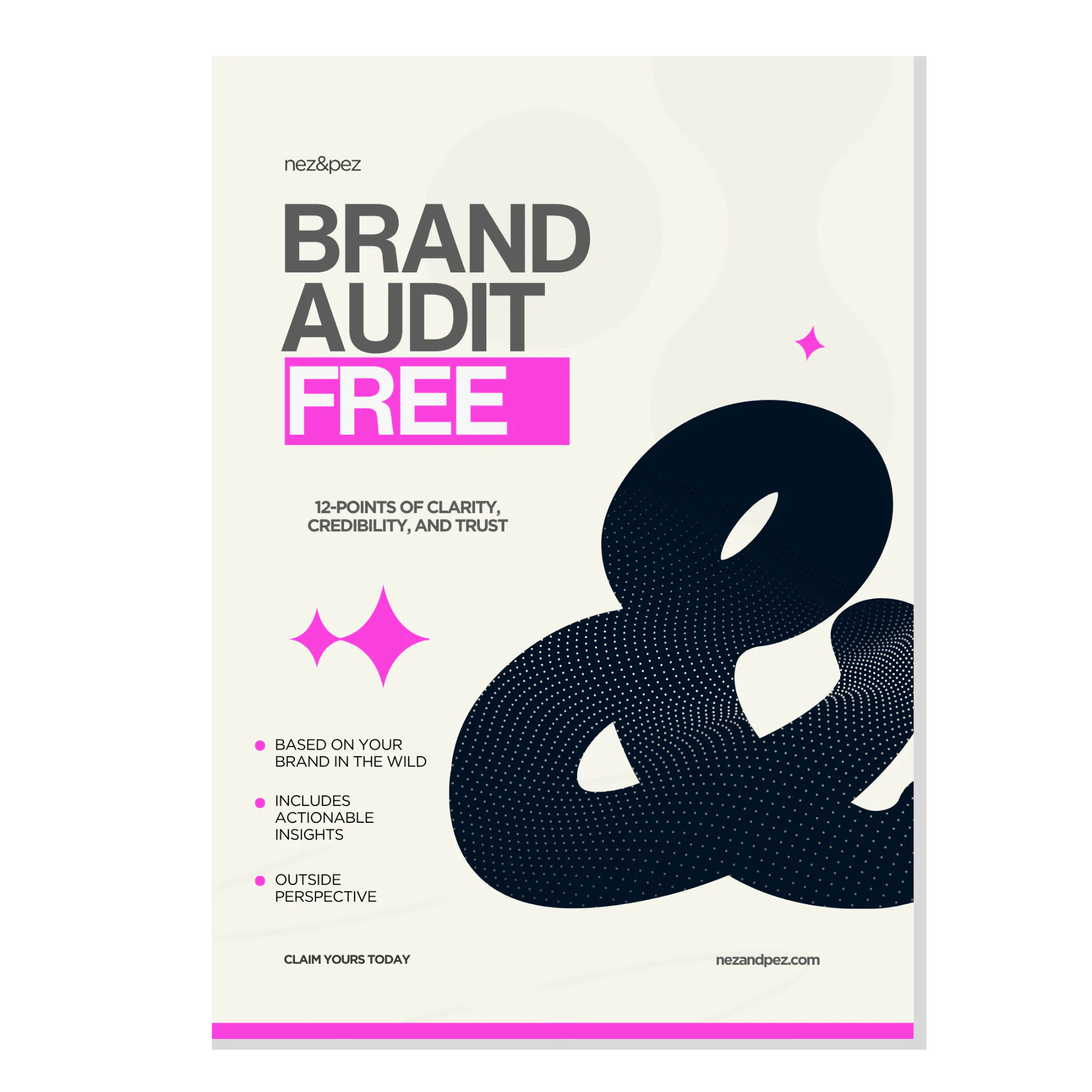 Brand Audit Thumbnail